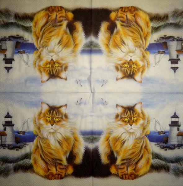 299 Katzen - 3-lagig